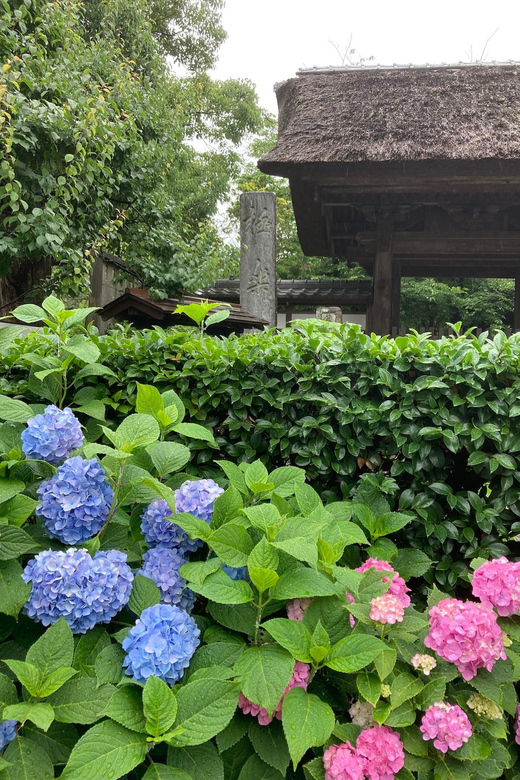 Kamakura: Tour on the Works of Ninshô in French - Key Points