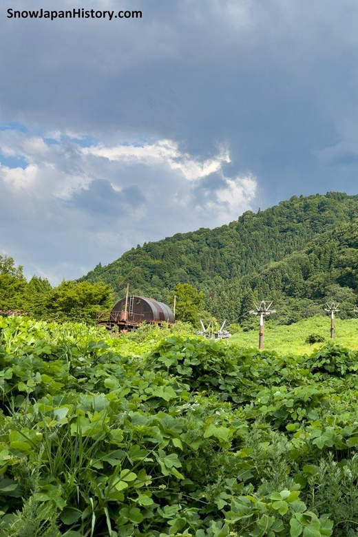 Kanazawa Full Day Walking Tour Review - Tour Overview