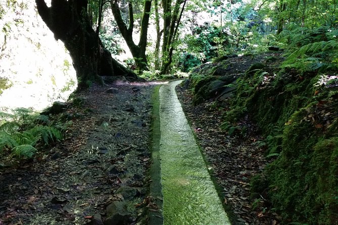 Kings Levada - São Jorge - Trail Overview