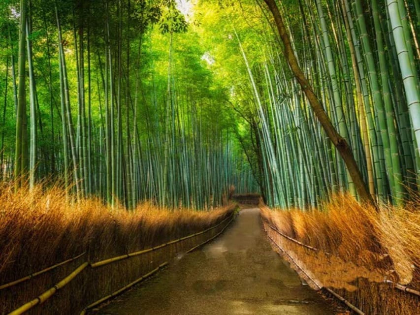 Kyoto: Arashiyama and Sanzen In Temple Day Tour - Key Points