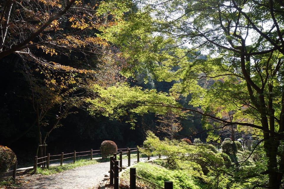 Kyoto: Ginkakuji and the Philosophers Path Guided Bike Tour - Key Points