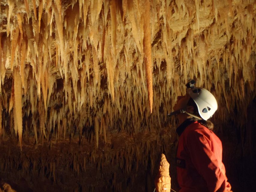 La Ciotat: Caving in Calanques National Park Half-Day Tour - Key Points