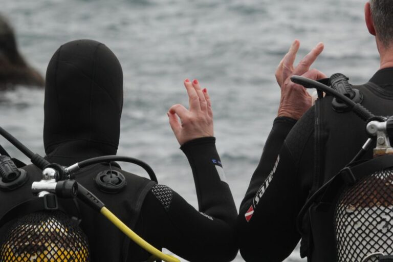 La Palma: Basic Diver Certification With 2 Atlantic Dives Certification And Experience