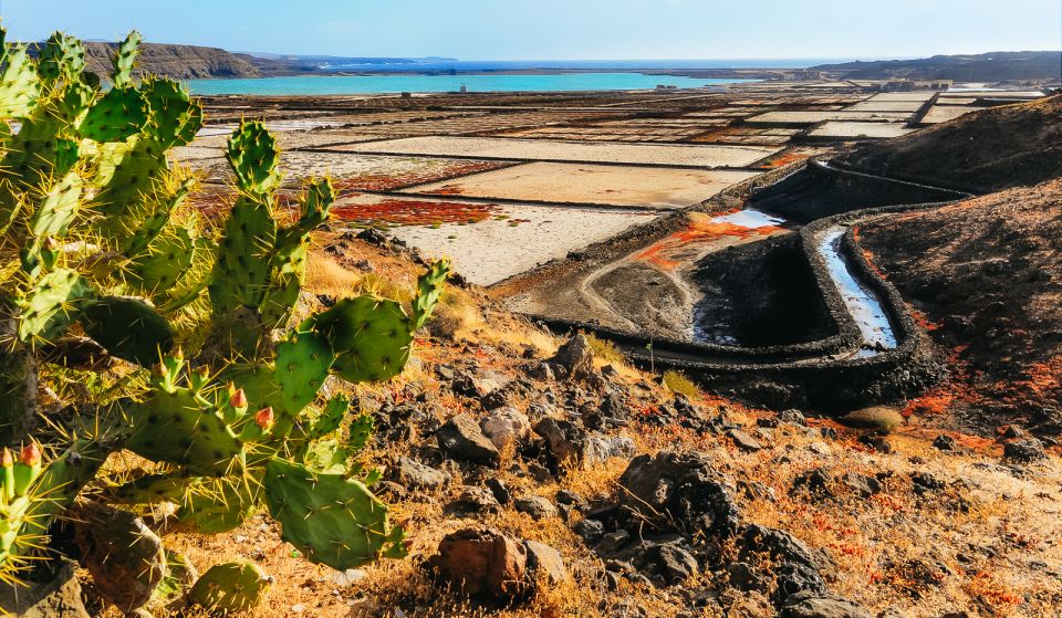 Lanzarote: Volcanos of Timanfaya and Caves Tour With Lunch - Key Points