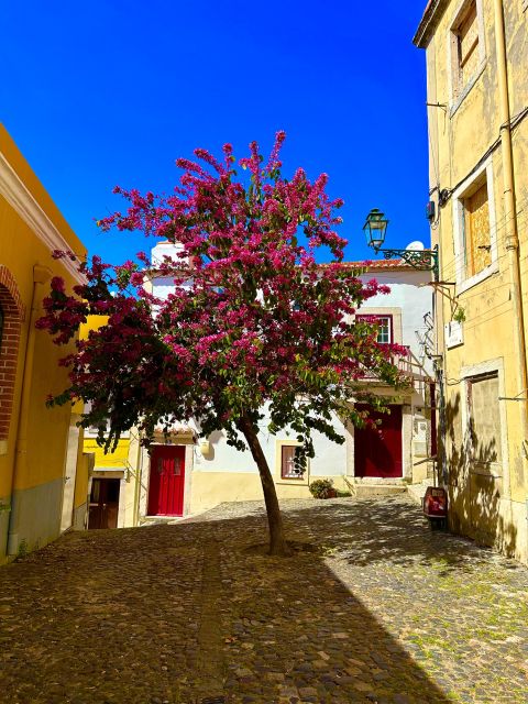 Lisbon: Moorish Quarter Free Walking Tour - Key Points