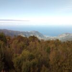 Madeira Half Day Old Road West Sidecar Tour Passenger Capacity