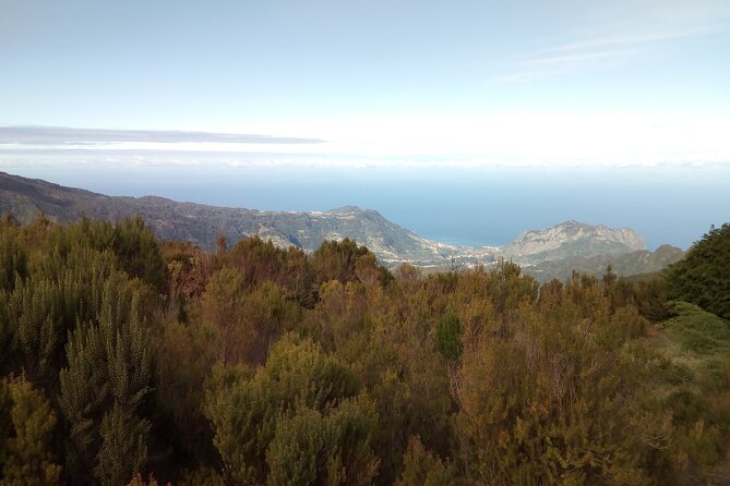 Madeira Half-Day Old Road West Sidecar Tour - Passenger Capacity