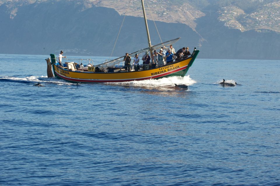 Madeira: Whale Watching Excursion in a Traditional Vessel - Key Points