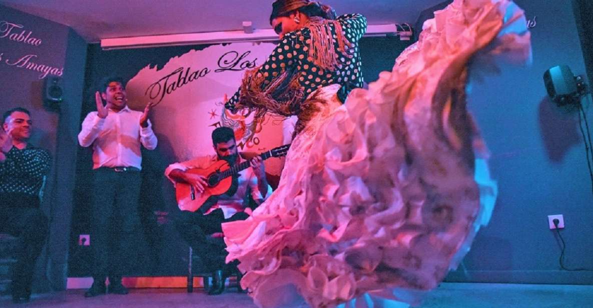 Málaga: Flamenco and City Highlights Guided Tour - Key Points