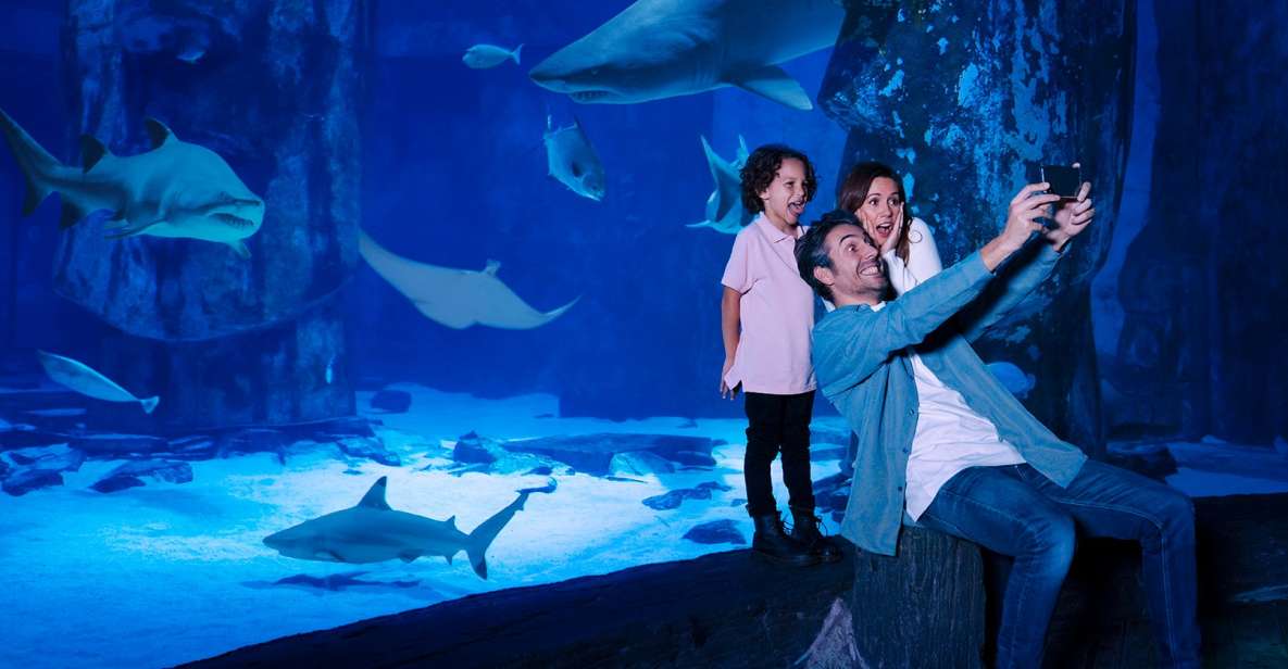 Mall of America: Sea Life Minnesota Aquarium Entry Ticket - Key Points