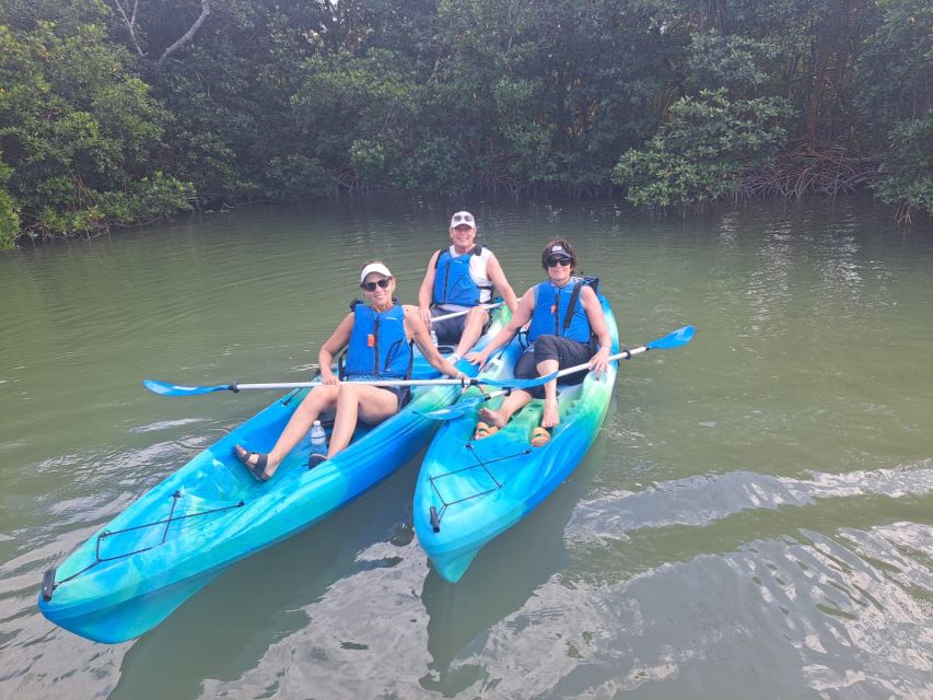 Marco Island: Kayak Mangrove Ecotour in Rookery Bay Reserve - Key Points