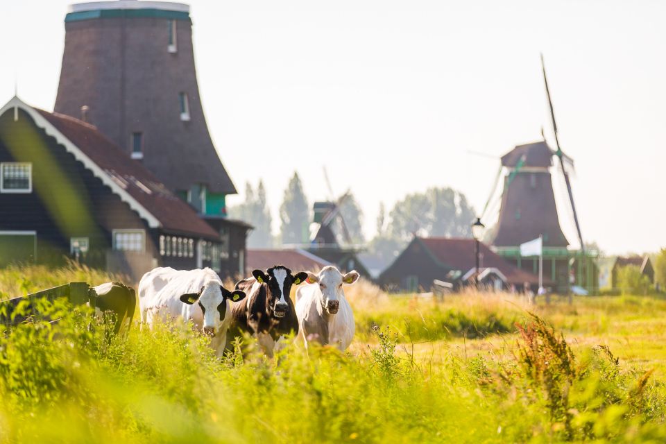 Marken, Volendam, and Edam Full-Day Tour From Amsterdam - Key Points