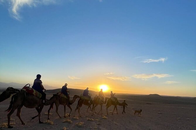 Marrakech Amazing Dinner Show in Agafay Desert, Sunset Camel Ride - Overview of the Experience