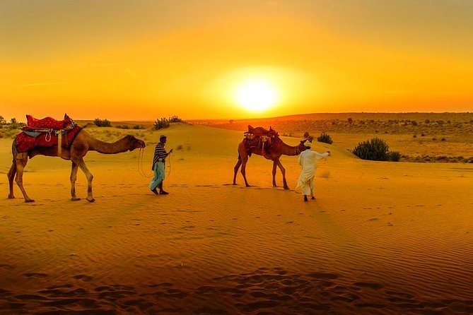 Marrakech Day Trip to Agafay Desert, Atlas Mountains & Camel Ride - Key Points