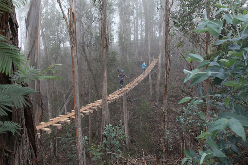 Maui: Haleakala 5-Line Zipline Adventure - Key Points