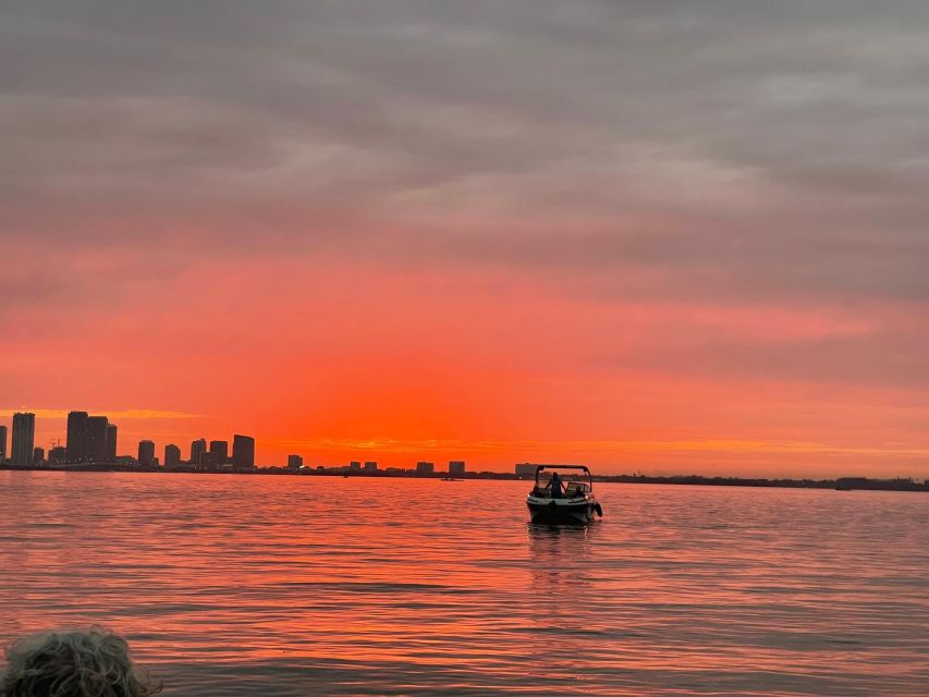 Miami Beach: Spectacular Sandbar & Skyline Boat Tour - Key Points