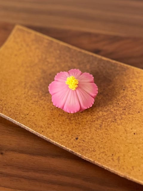 Mindful Wagashi Making Review: A Unique Experience - Activity Overview