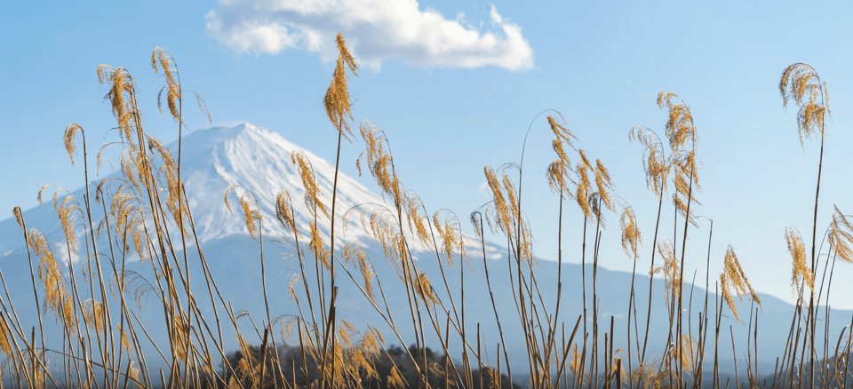 Mount Fuji Classic Highlight Joiner Day Tour Review - Key Points