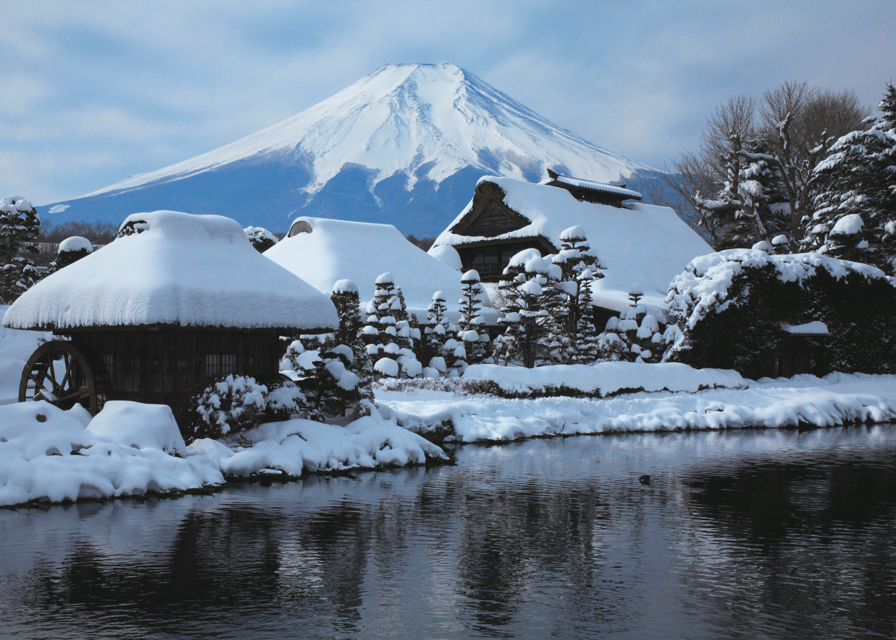 Mount Fuji Sightseeing Trip Review - Departure and Return Details