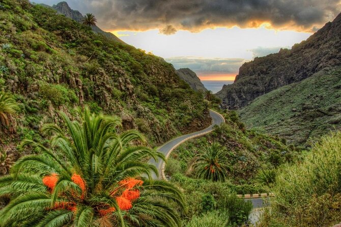 Mount Teide-Icod-Garachico-Masca (Most Popular Bus Tour in Tenerife) - Key Points