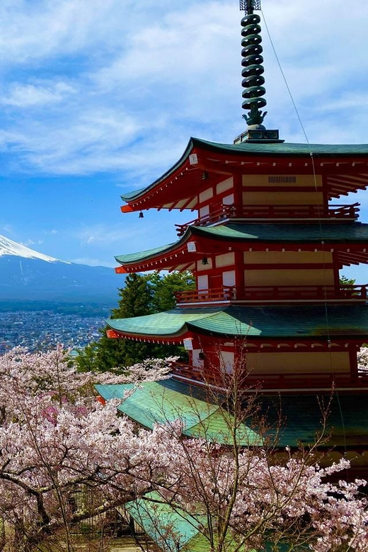 Mt. Fuji Area One Day Private Tour From Tokyo - Key Points