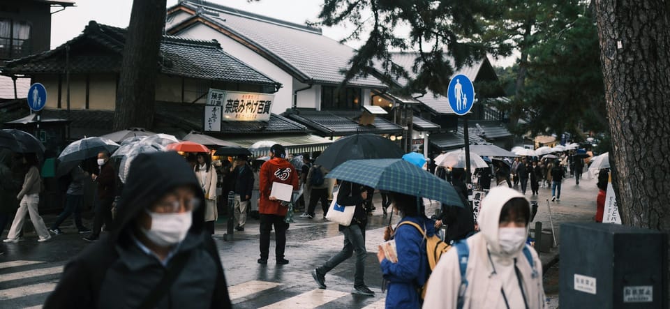 Nara Heritage Walkabout Review: A Cultural Journey - Key Points