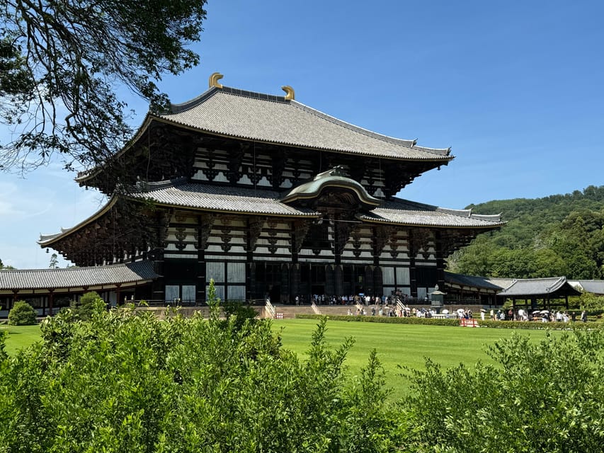 Nara: Tohdaiji Temple Experience Review - Key Points