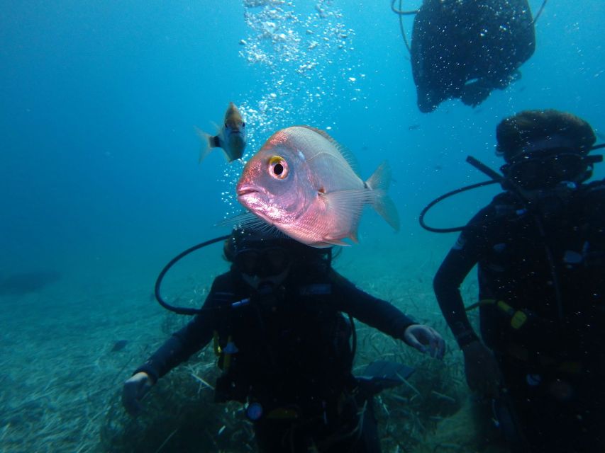 Naxos: Discover Scuba Diving - Your First Experience Diving - Key Points