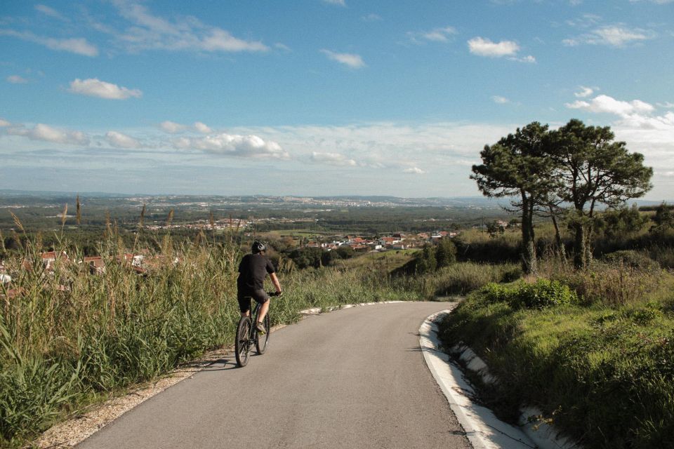 Nazaré: Mountain Bike Tour - Key Points