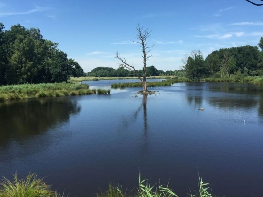 Nettetal: Krickenbecker Lakes, Forest & Castle Segway Tour - Key Points