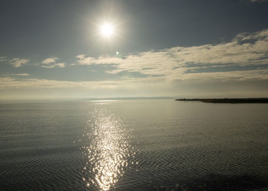 New Forest Discovery Walk (Lymington) - Key Points