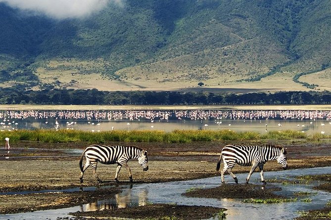 Ngorongoro Day Trip - Key Points