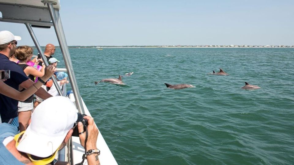 Ocean City, MD: Sea Rocket Sunset Cruise & Dolphin Watch - Key Points