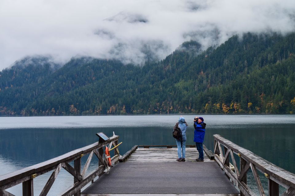 Olympic National Park: Sol Duc and Hurricane Ridge Tour - Key Points