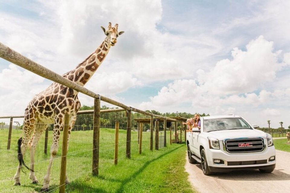 Orlando: Drive-Thru Safari Park at Wild Florida - Key Points