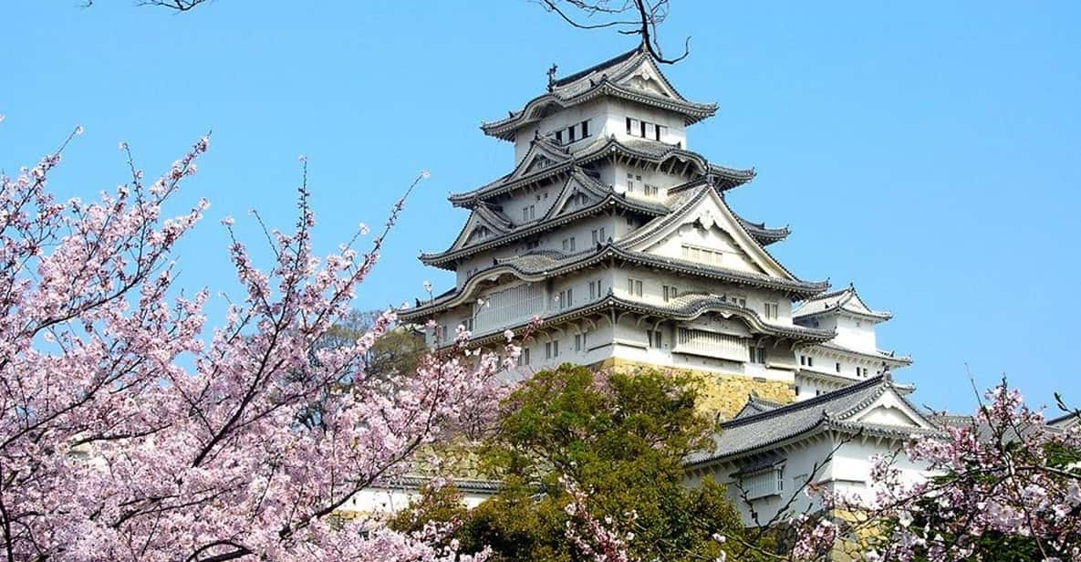 Osaka Castle Ticket With Private Transfer Review - Key Points