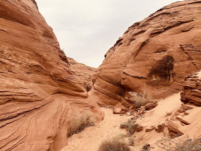 Page: Mountain Sheep Slot Canyon Guided Hiking Tour - Key Points