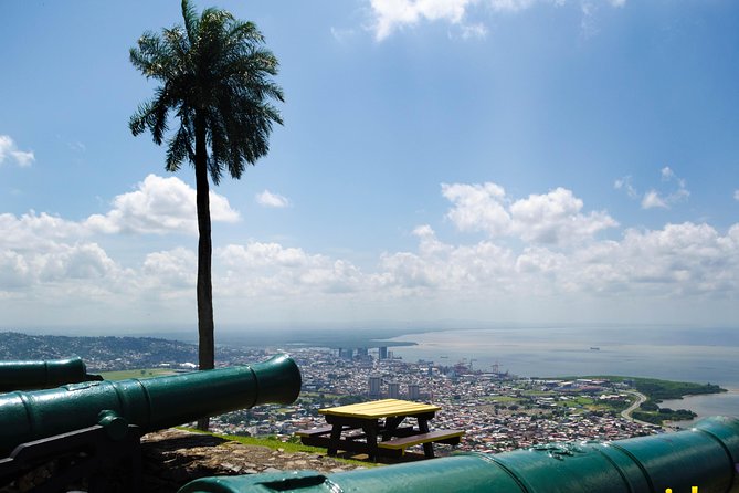 Port of Spain and Fort George Sightseeing Tour - Key Points