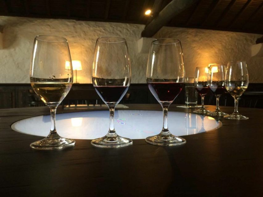 Porto: Private Guided Wine-Tasting Tour - Key Points