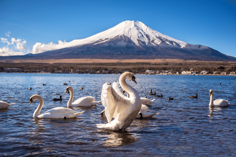 Private Charter Car One Day Trip for Mt Fuji - Key Points