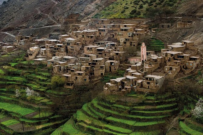 Private Day Atlas Mountains Waterfalls Ourika Berber Villages - Key Points