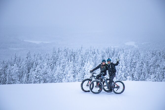 Private Electric Fat Bike Winter Tour in Rovaniemi - Key Points