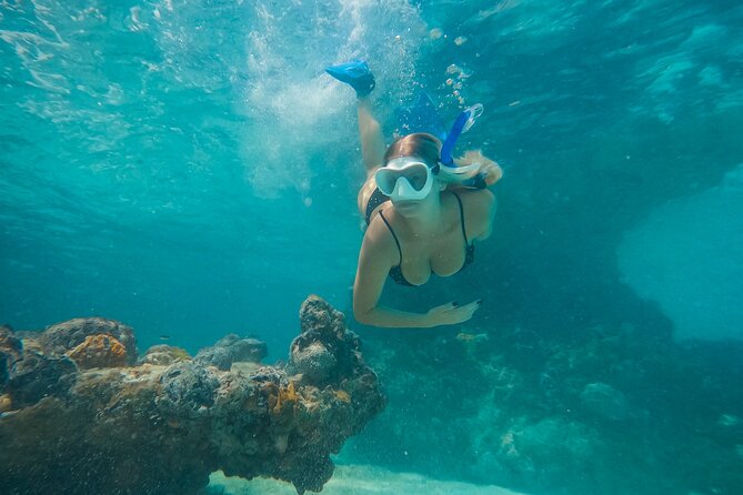 Private Half Day Luxury Snorkeling Charter Whats Included