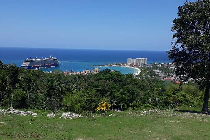 Private Sightseeing Tour in Ocho Rios - Tour Overview