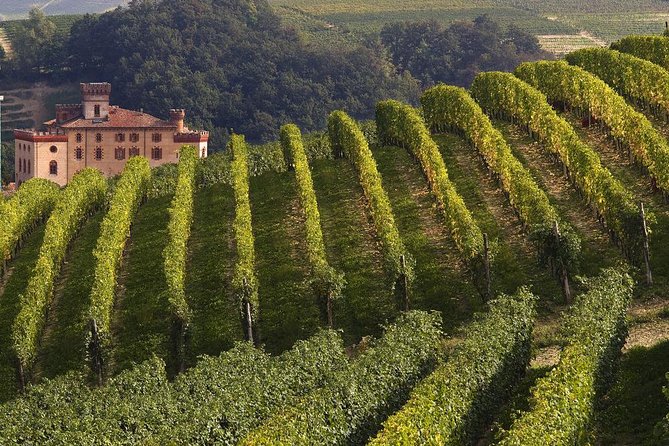 Private Tour: Barolo Wine Tasting in Langhe Area From Torino - Key Points