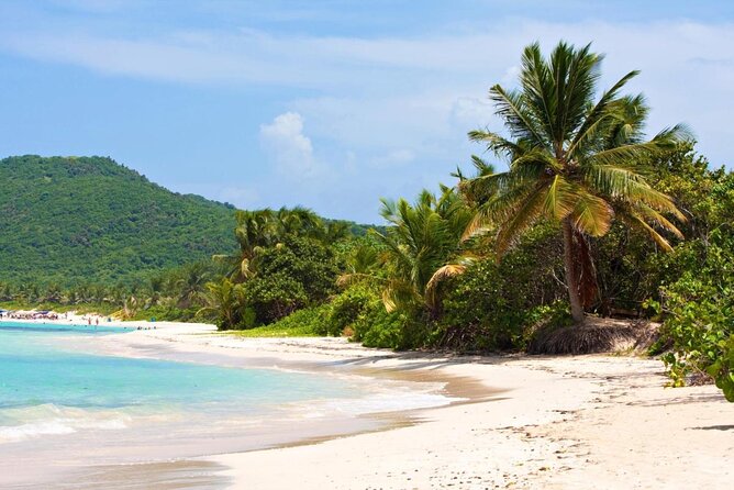 Puerto Rico: Culebra Snorkeling and Flamenco Beach Tour by Ferry - Key Points