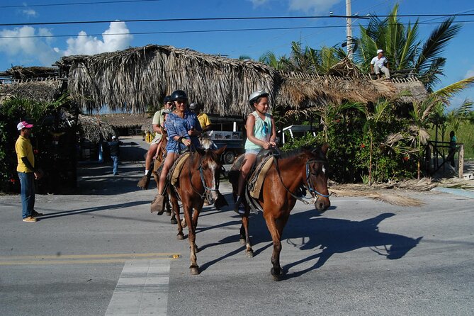 Punta Cana Horseback Riding on the Beach - Inclusions and Logistics