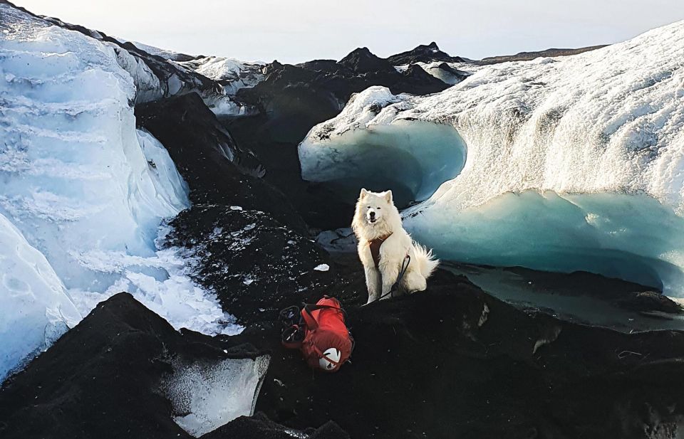 Reykjavik/Sólheimajökull: Glacier Hiking & Ice Climbing Trip - Key Points