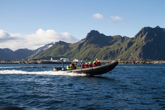 RIB Sea Eagle Safari Trollfjord Cruise - Key Points