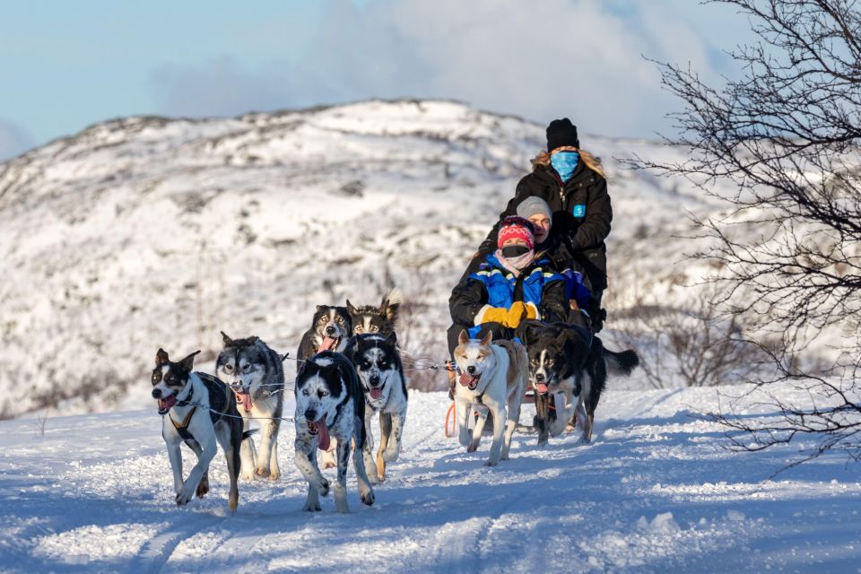 Rovaniemi: Santa Claus Village, Husky & Reindeer Sled Ride - Key Points